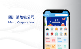 四川地鐵項目案例